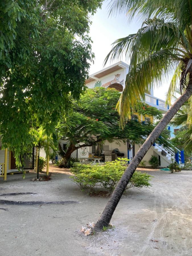 Hotel Jaguar Morning Star Caye Caulker Exteriér fotografie